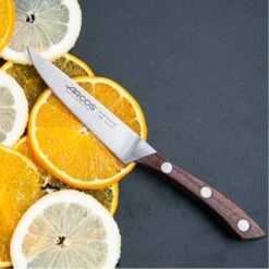 Couteau Office Arcos Natura 11 Couteau Office Arcos Natura -Couteaux Boutique couteau office arcos natura 4